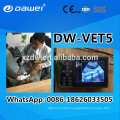 Portable LCD VET Digital portable ultrasound for cow pregnancy test 2017